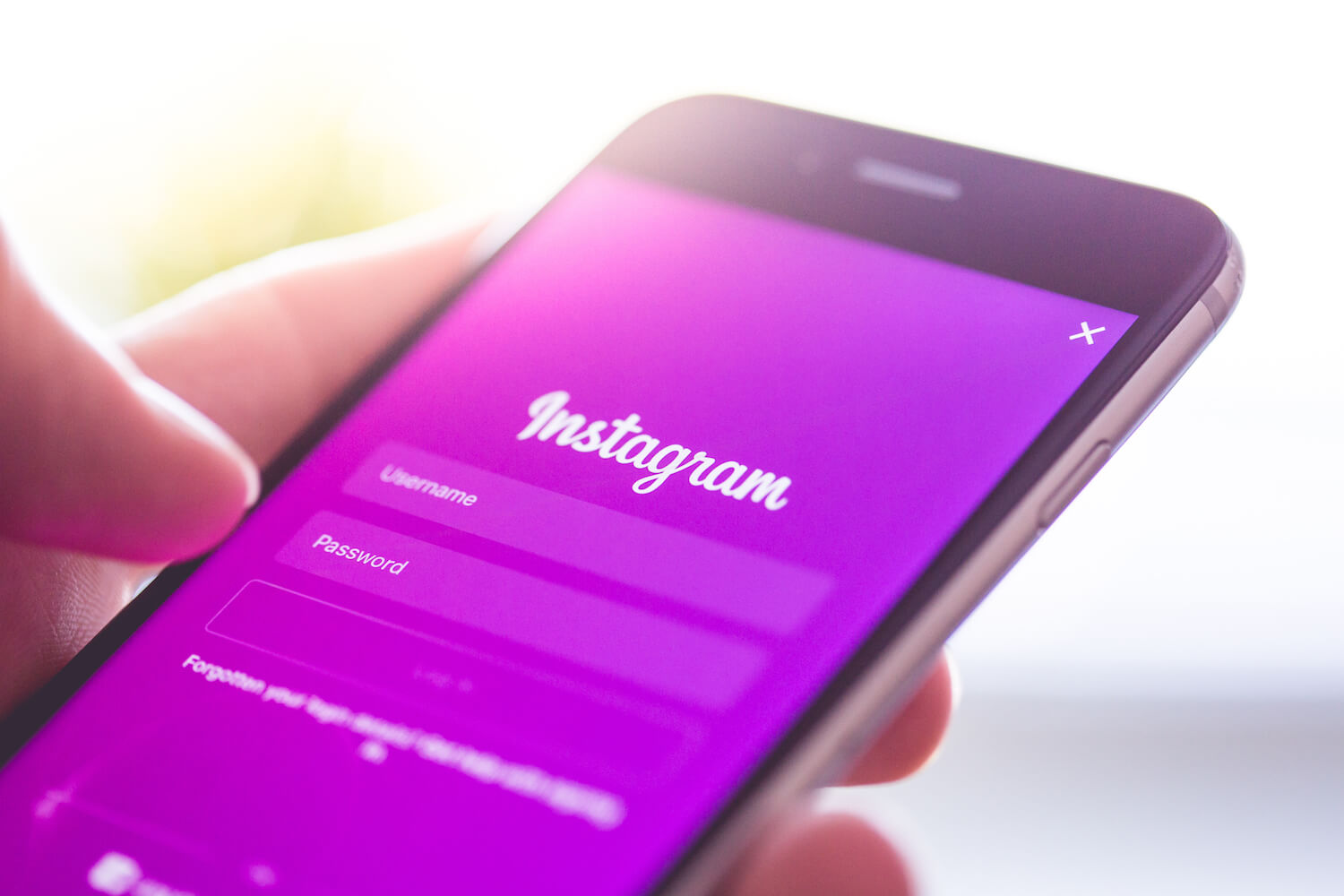 Instagram добавил функцию выгрузки фото и других данных